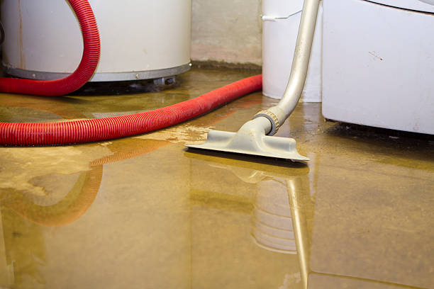 Best Water damage cleanup near me  in USA